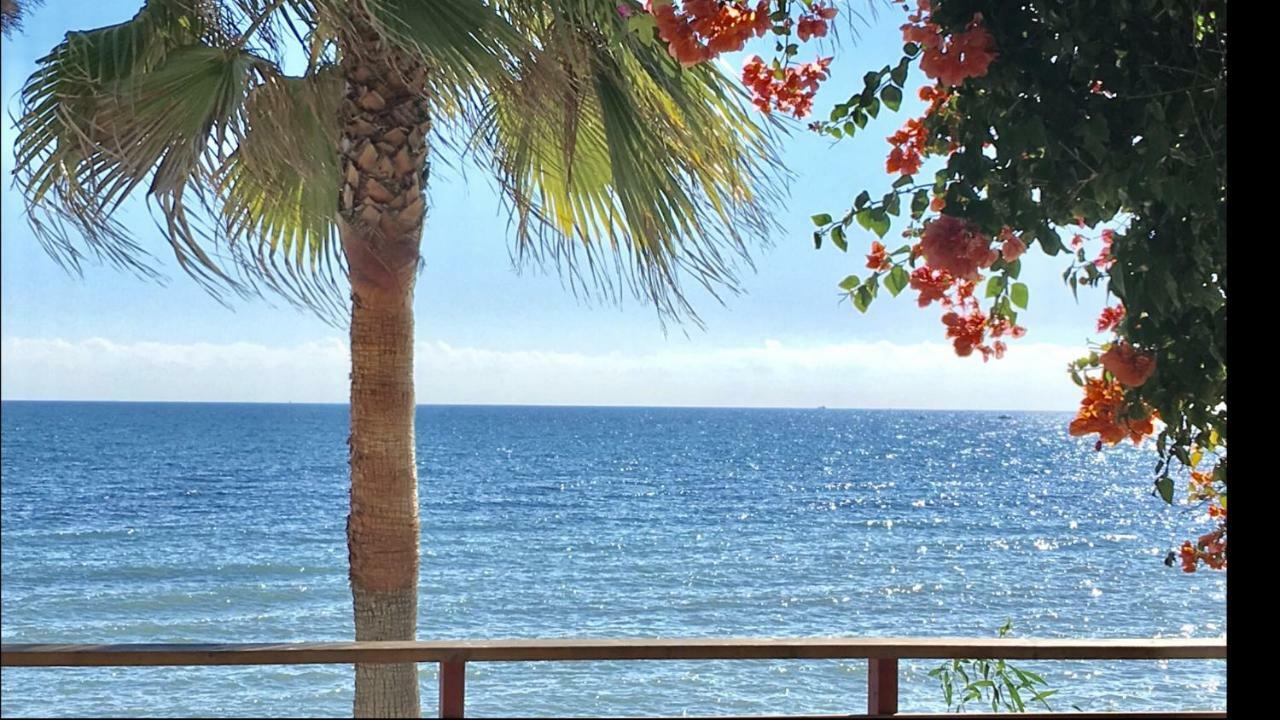 Mi Capricho Beachfront- 9F Apartment With Sea Views - Costa Del Sol Sitio de Calahonda Exterior photo